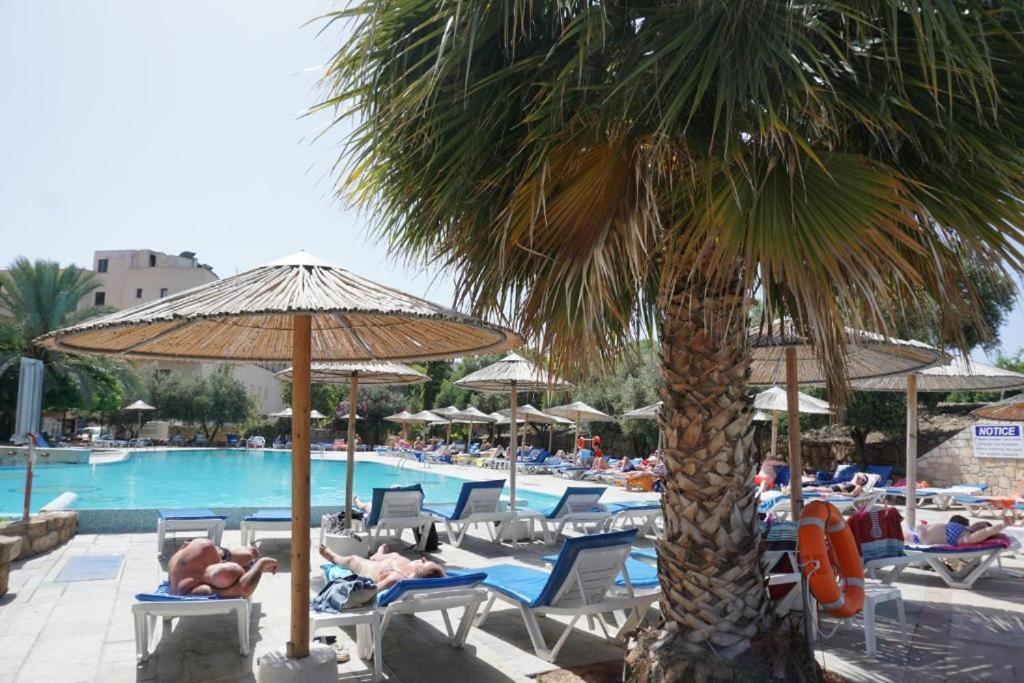 Alex'S Vacation Suite - 100M From The Beach - 6 Guests Paphos Extérieur photo