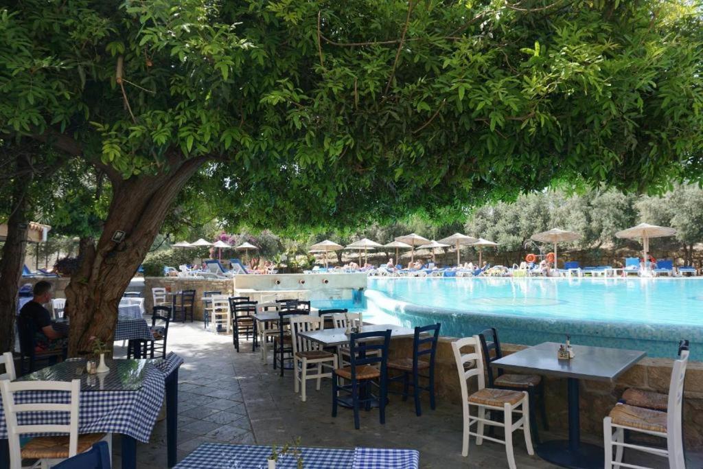 Alex'S Vacation Suite - 100M From The Beach - 6 Guests Paphos Extérieur photo